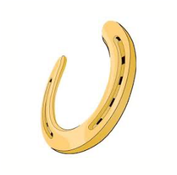 Horseshoe favicon